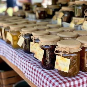 Processed Food Vendors