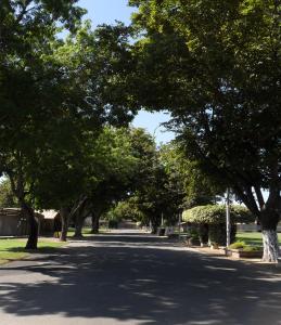 Commercial Vendors - Outside