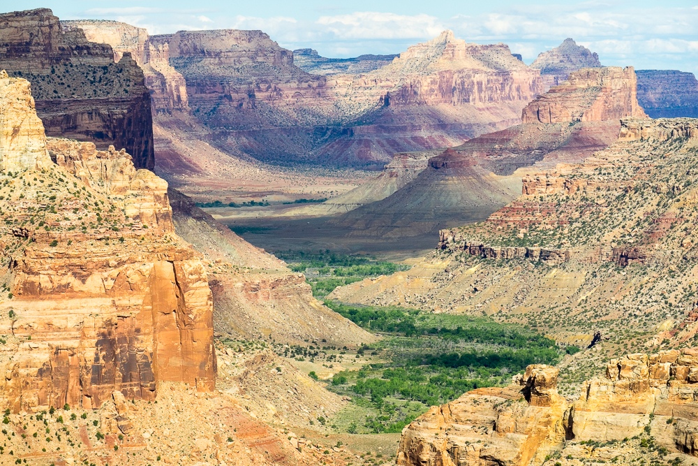 (Thur, Fri, Sat) North Swell - Difficulty 2/10 cover picture