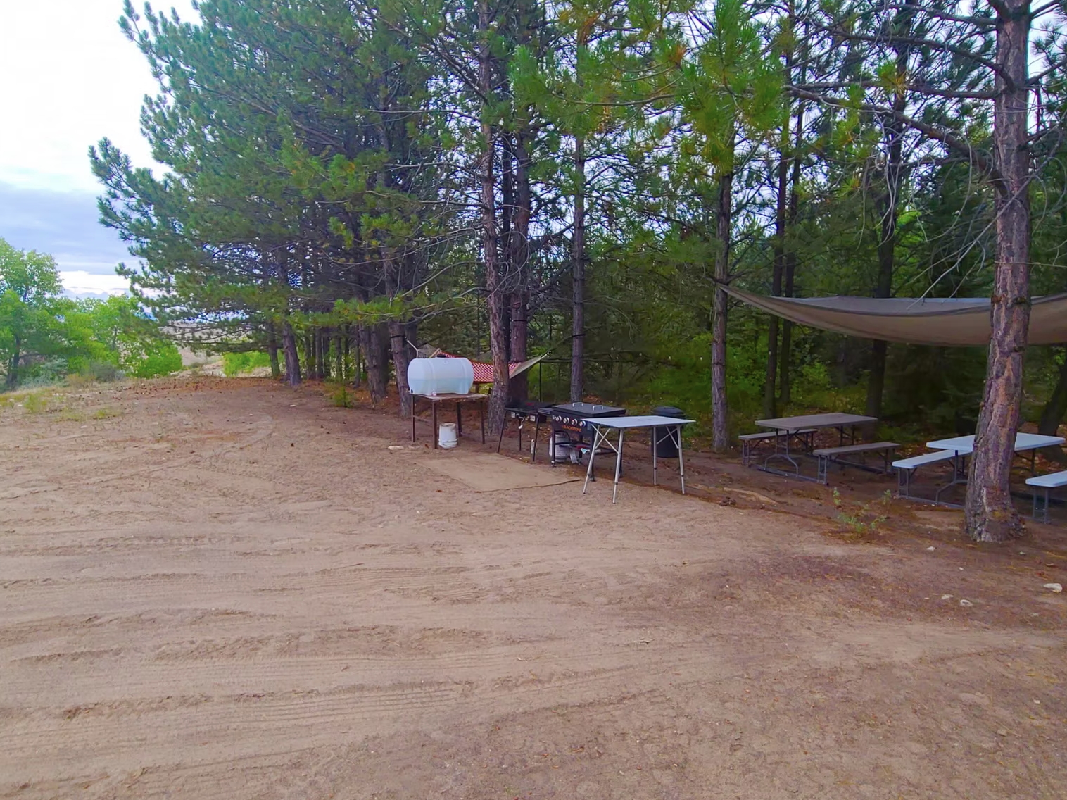 Tent Camping: Whispering Pines at Swell Retreat cover picture
