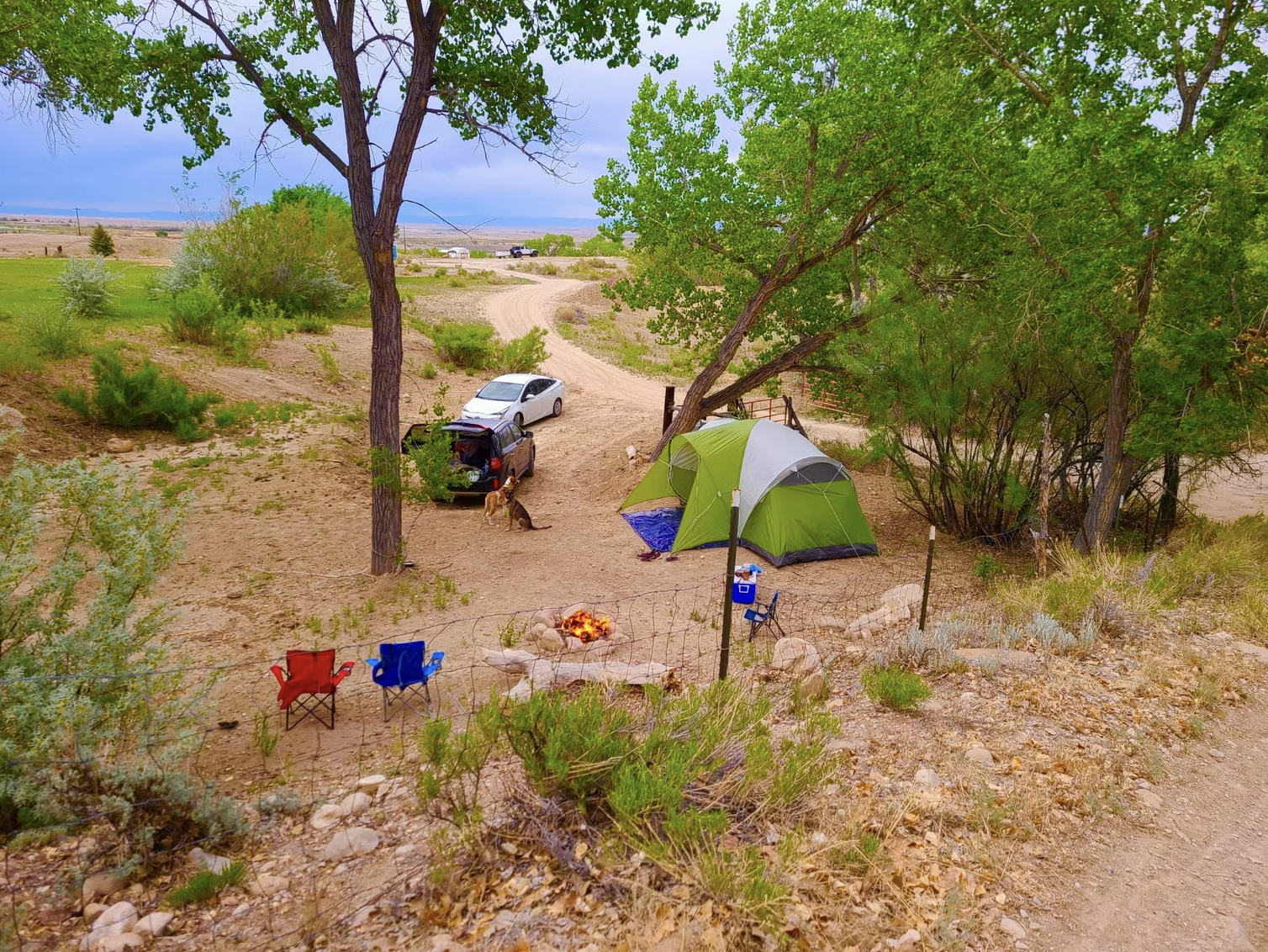Tent Camping: Camp Ambition at Swell Retreat cover picture