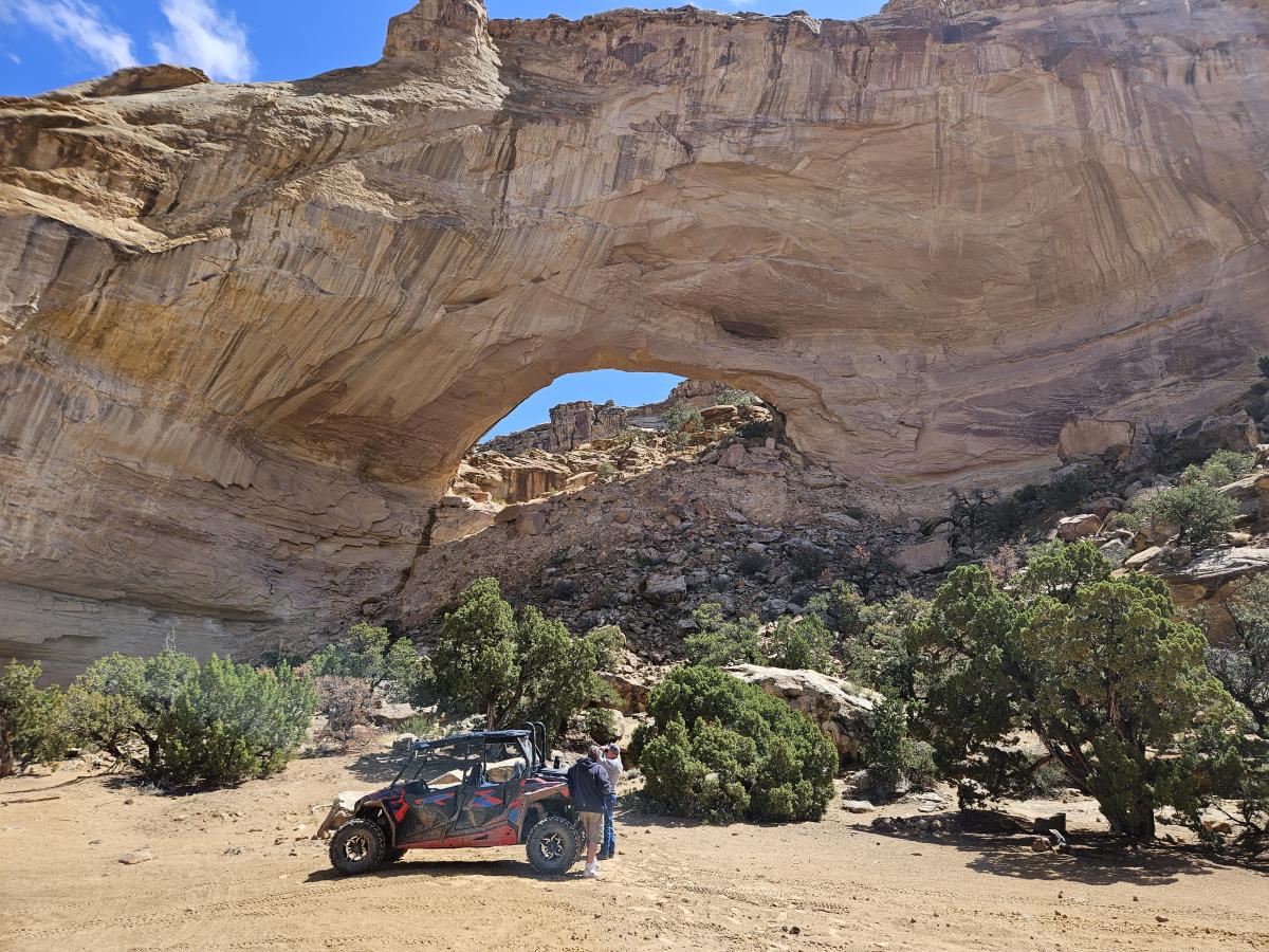 *Early Bird* Adult Registration cover picture