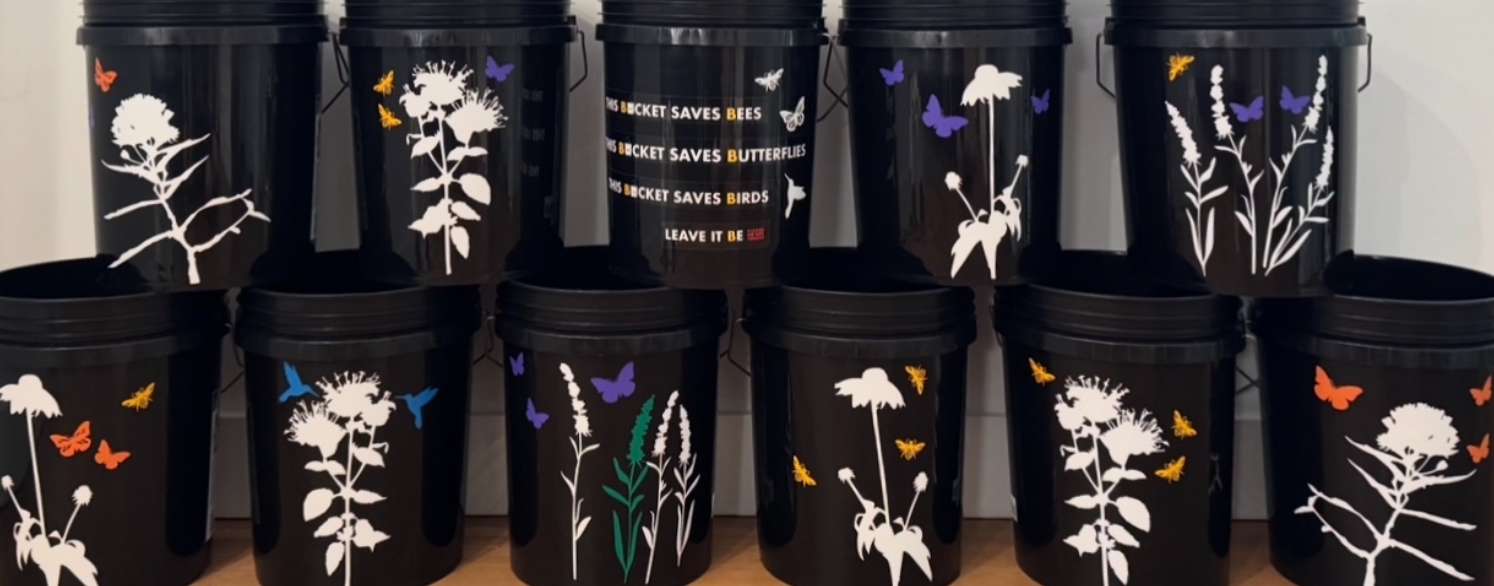 Mosquitoes & Pollinator- and Earth-Friendly Controls