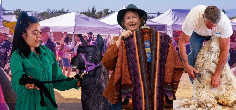Mountain and Valley Fiber Arts Festival
