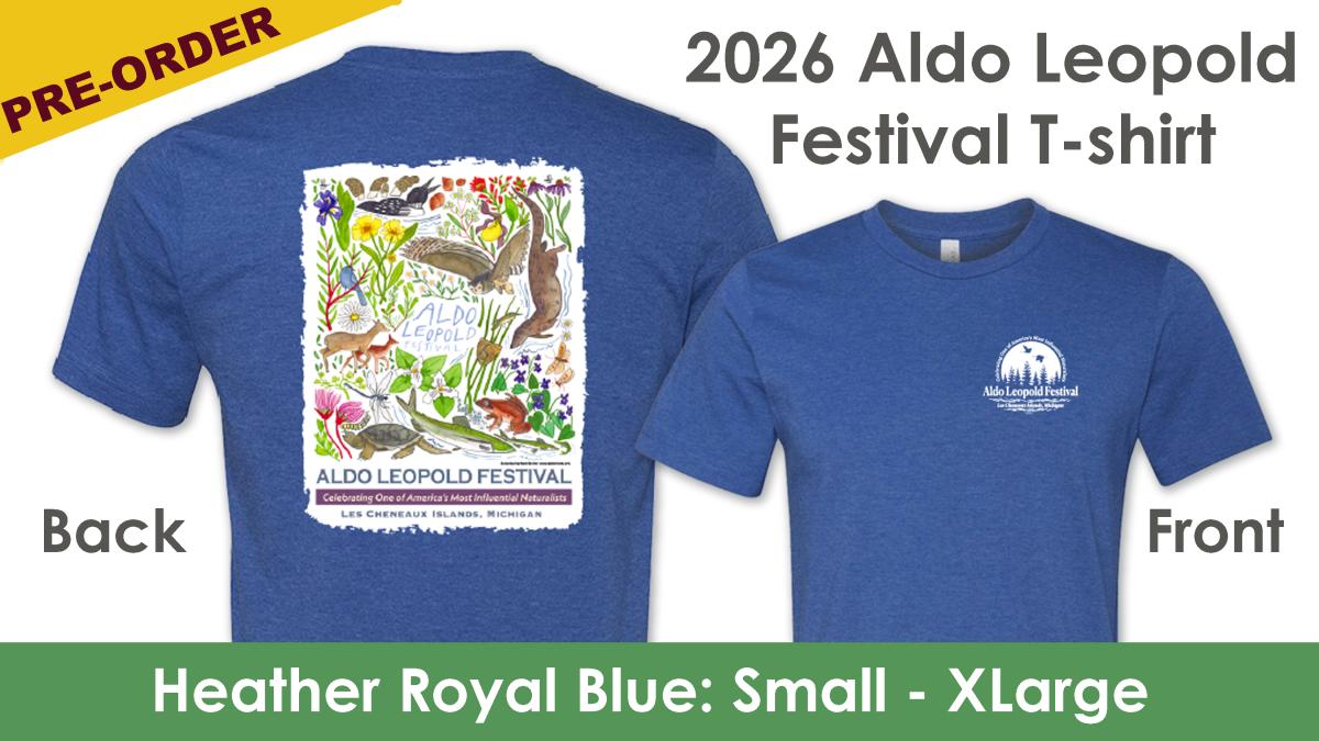 Festival T-shirt - HEATHER BLUE (S - XL) cover picture