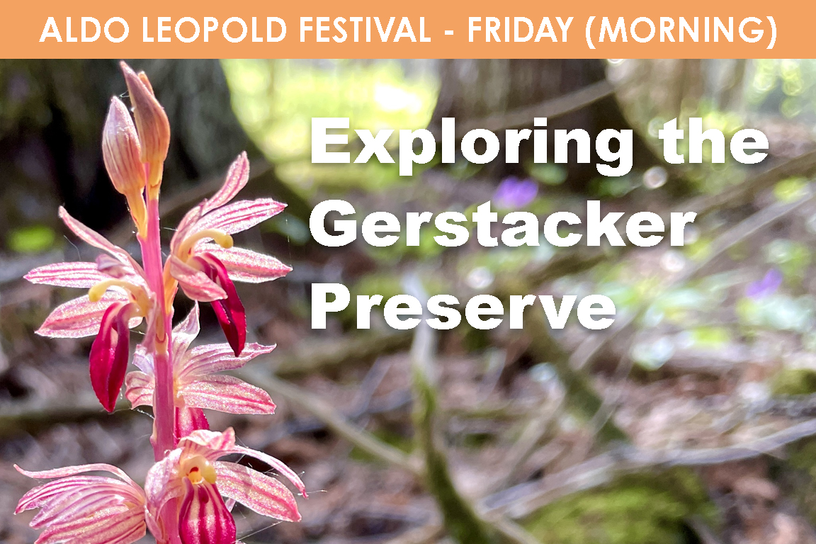 FRIDAY - Exploring the Gerstacker Preserve (AM) cover picture