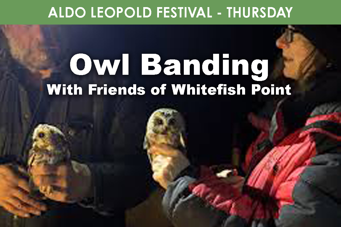THURSDAY - Owl Banding with Friends of Whitefish Point cover picture