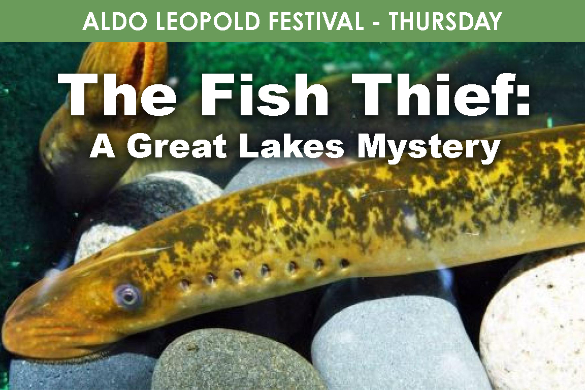 THURSDAY - The Fish Thief: A Great Lakes Mystery cover picture