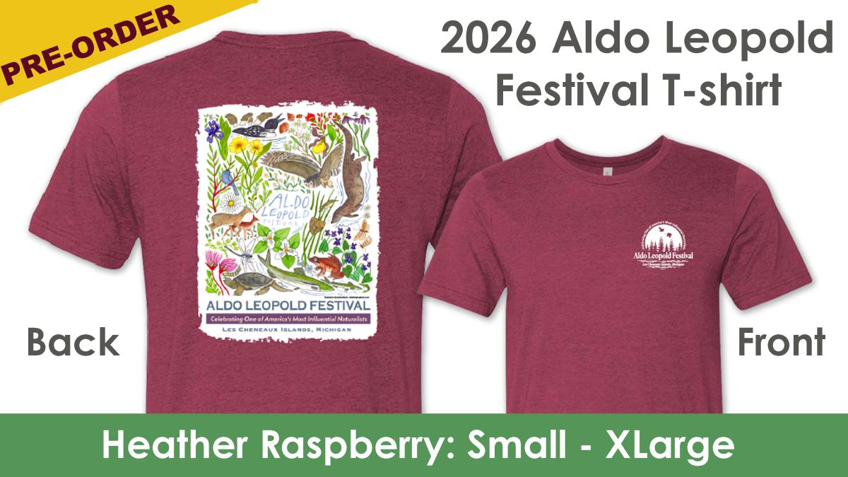 Festival T-shirt - HEATHER RASPBERRY (S - XL) cover picture