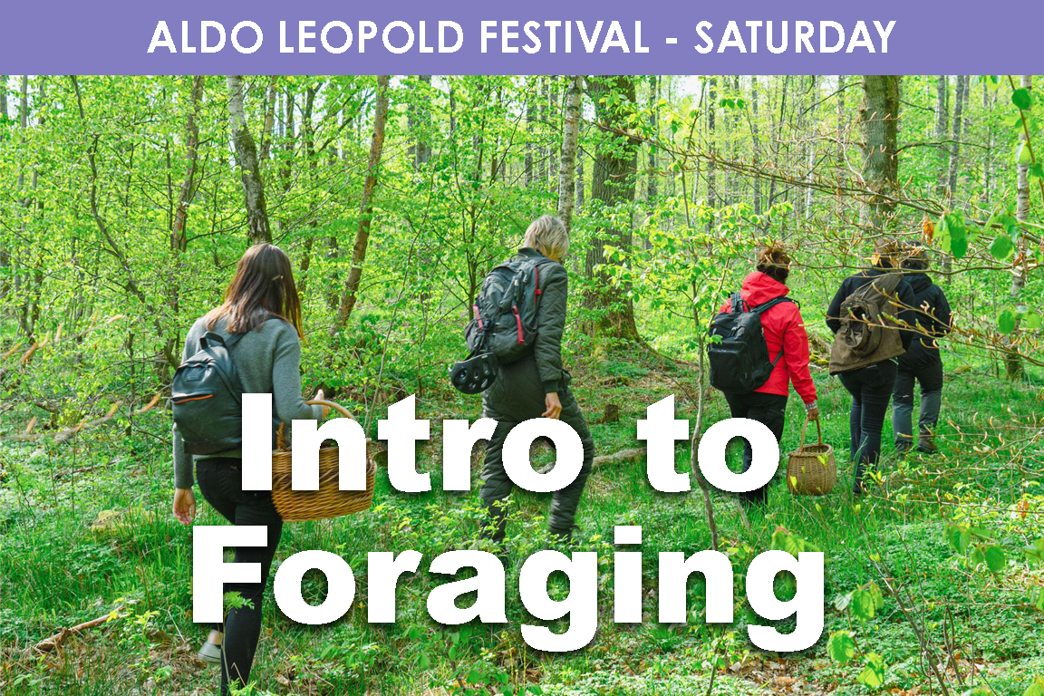 SATURDAY - Intro to Foraging cover picture
