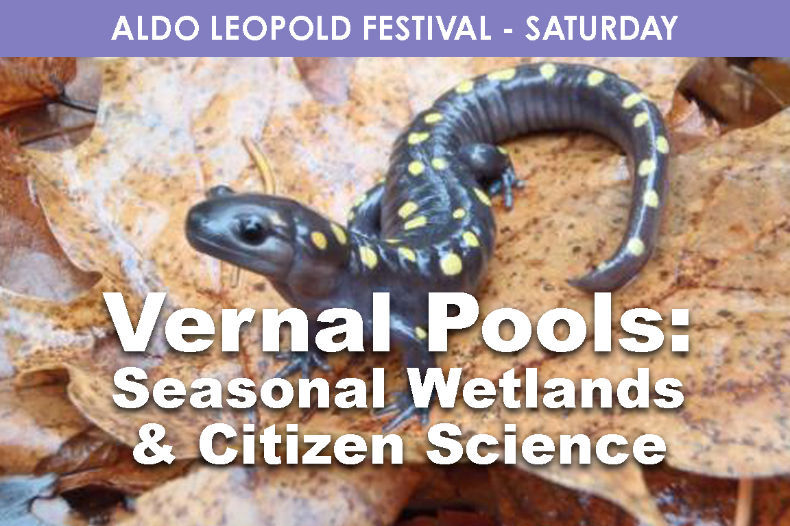 SATURDAY - Vernal Pools: Seasonal Wetlands & Citizen Science cover picture