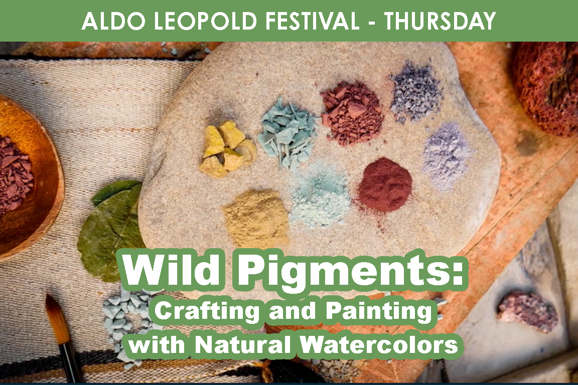 THURSDAY - Wild Pigments: Crafting and Painting with Natural Watercolors cover picture