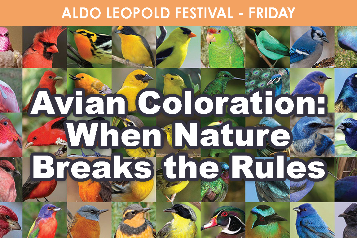 FRIDAY - Avian Coloration: When Nature Breaks the Rules cover picture