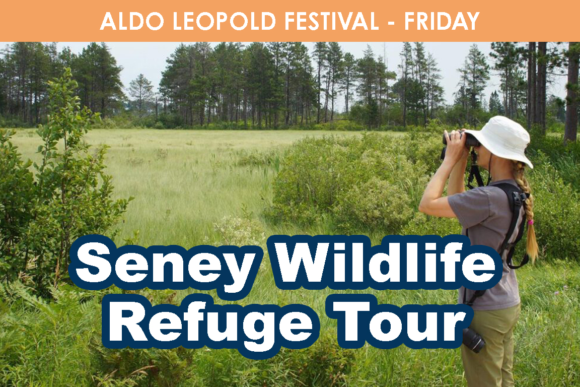 FRIDAY - Seney Wildlife Refuge Tour cover picture