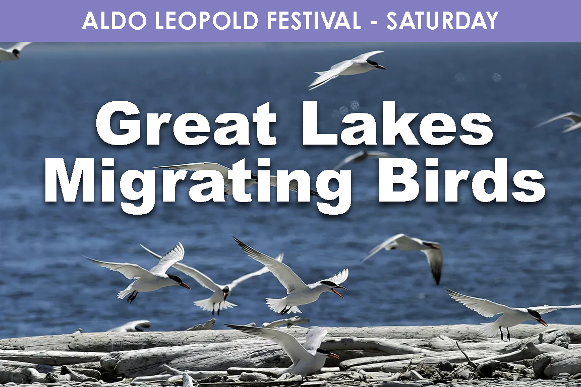 SATURDAY - Great Lakes Bird Migration cover picture