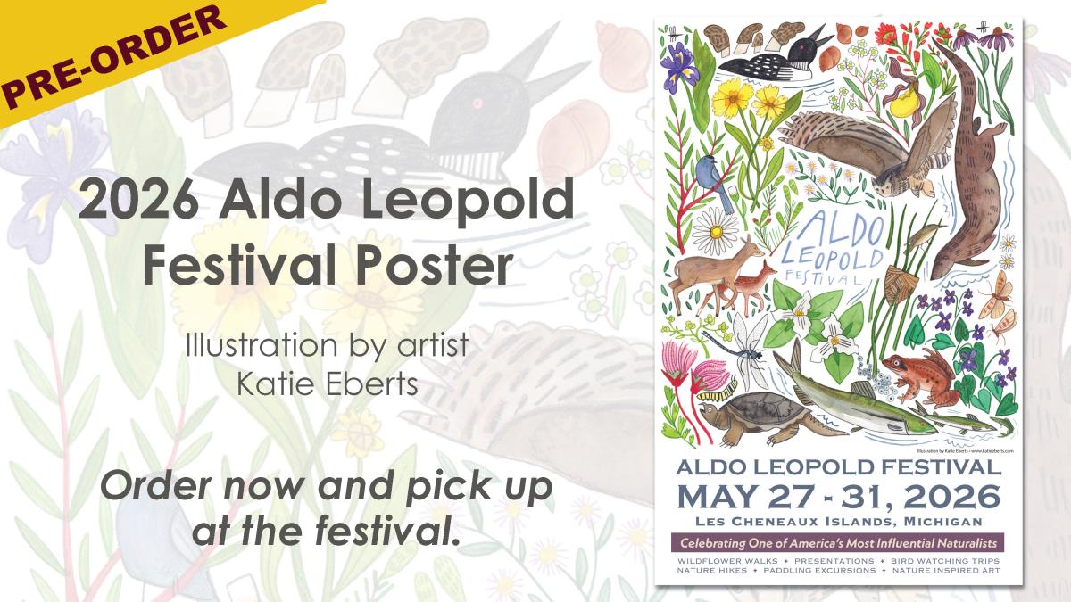 2026 Festival Poster cover picture