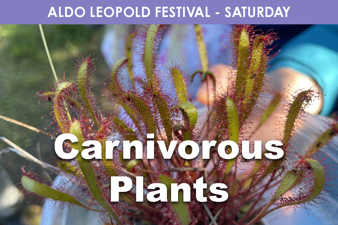 SATURDAY - Carnivorous Plants cover picture