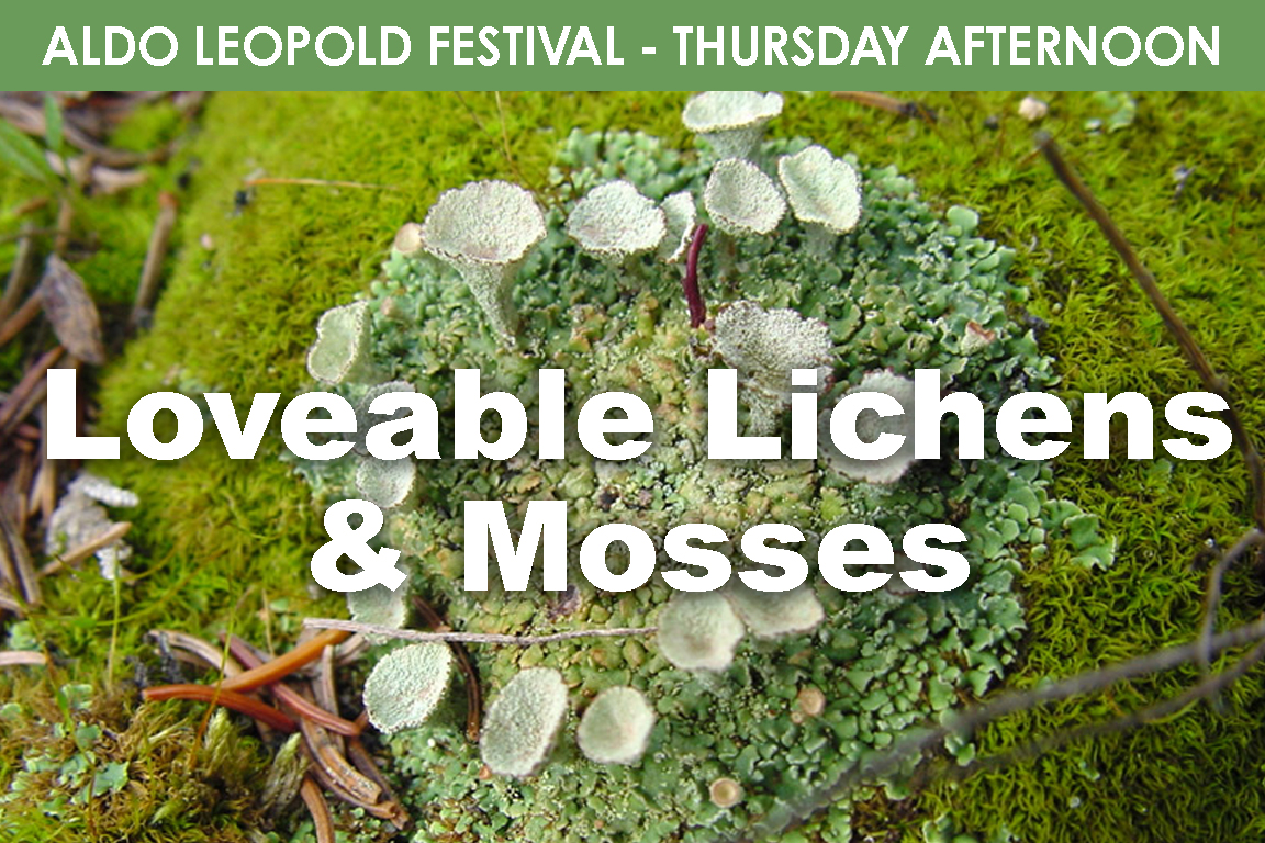 THURSDAY (PM) - Lovable Lichen & Mosses cover picture