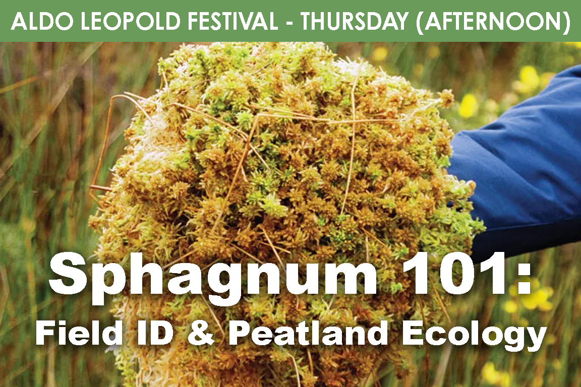 THURSDAY (PM) -Sphagnum 101 cover picture