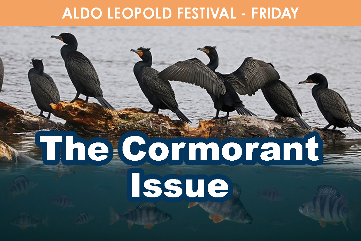 FRIDAY- The Cormorant Issue cover picture