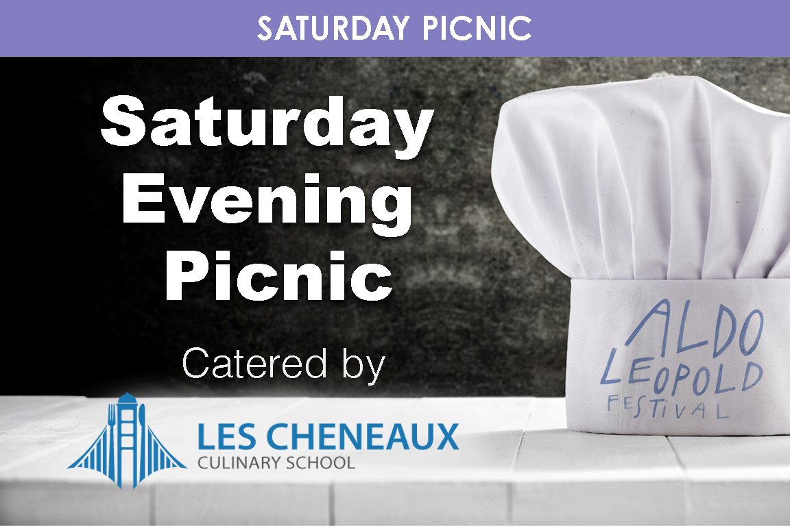 Saturday Evening Picnic cover picture