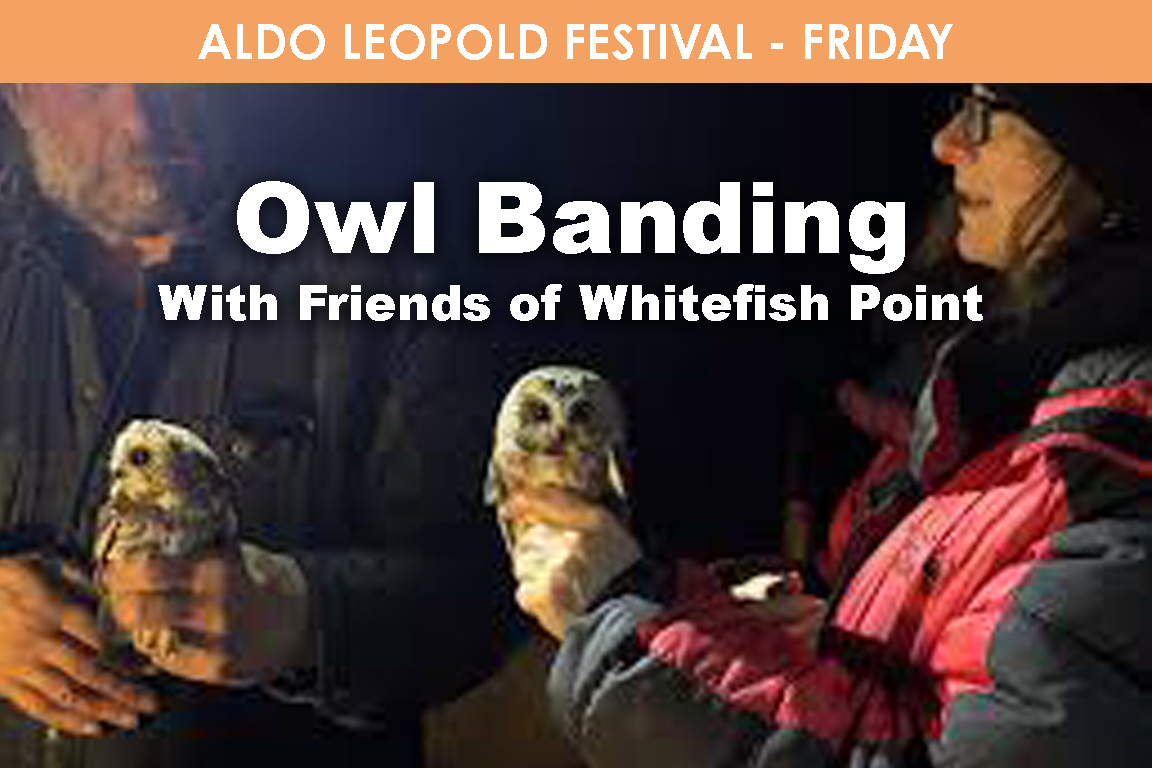 FRIDAY - Owl Banding with Friends of Whitefish Point cover picture