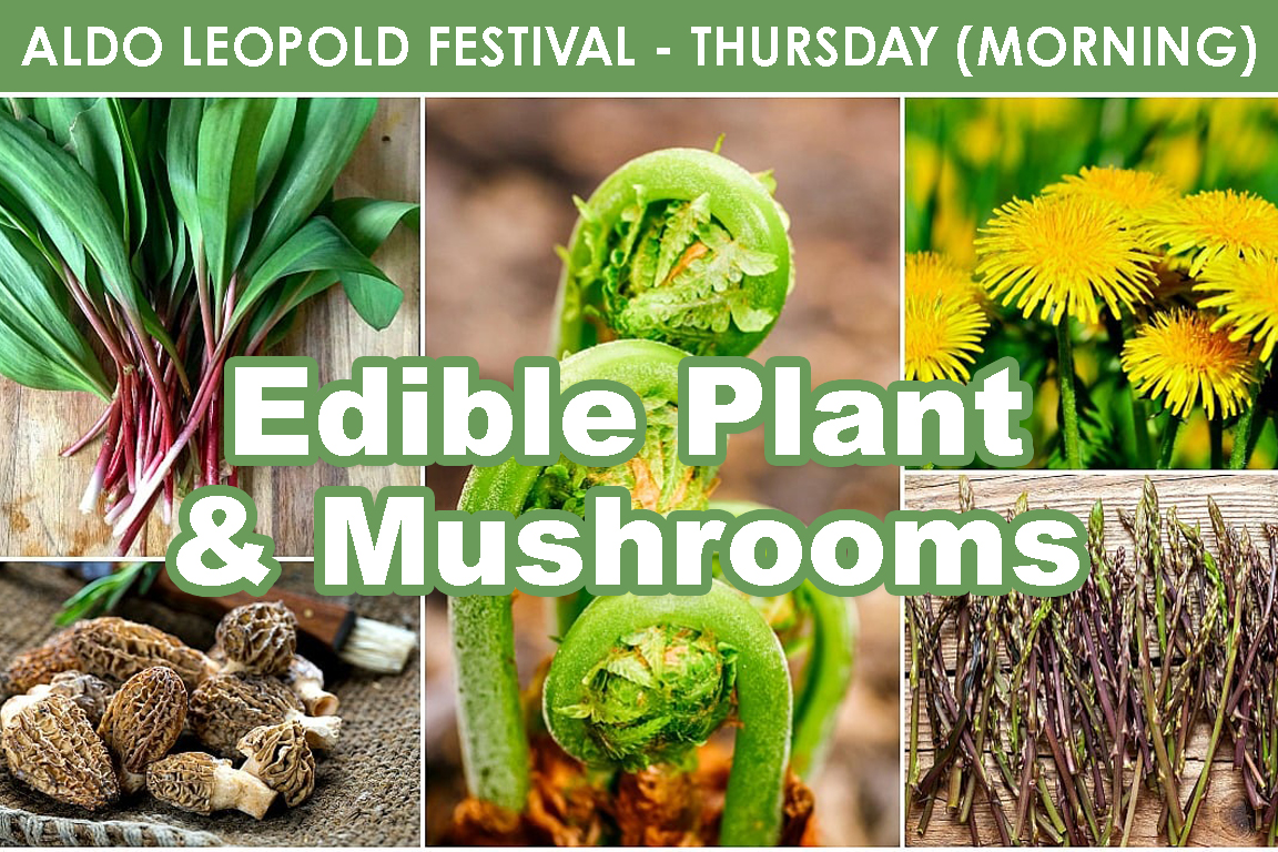 THURSDAY (AM) - Edible Plants & Mushrooms cover picture