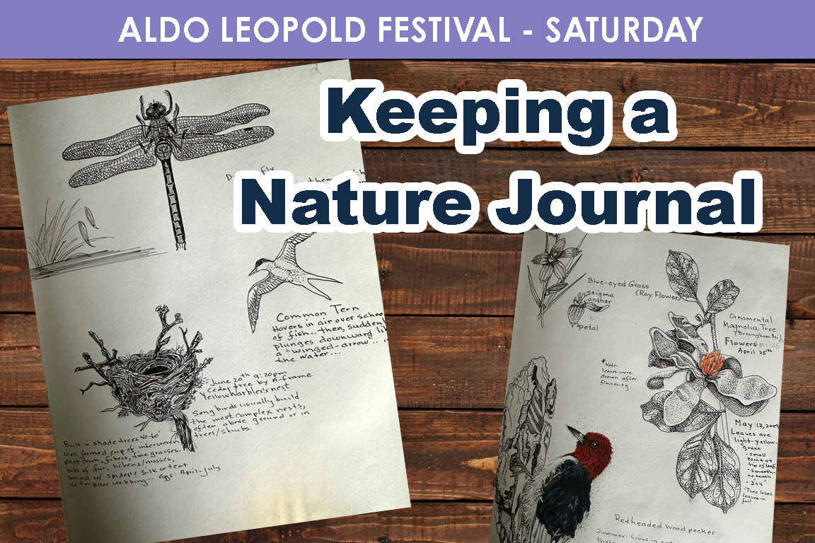 SATURDAY- Keeping a Nature Journal cover picture