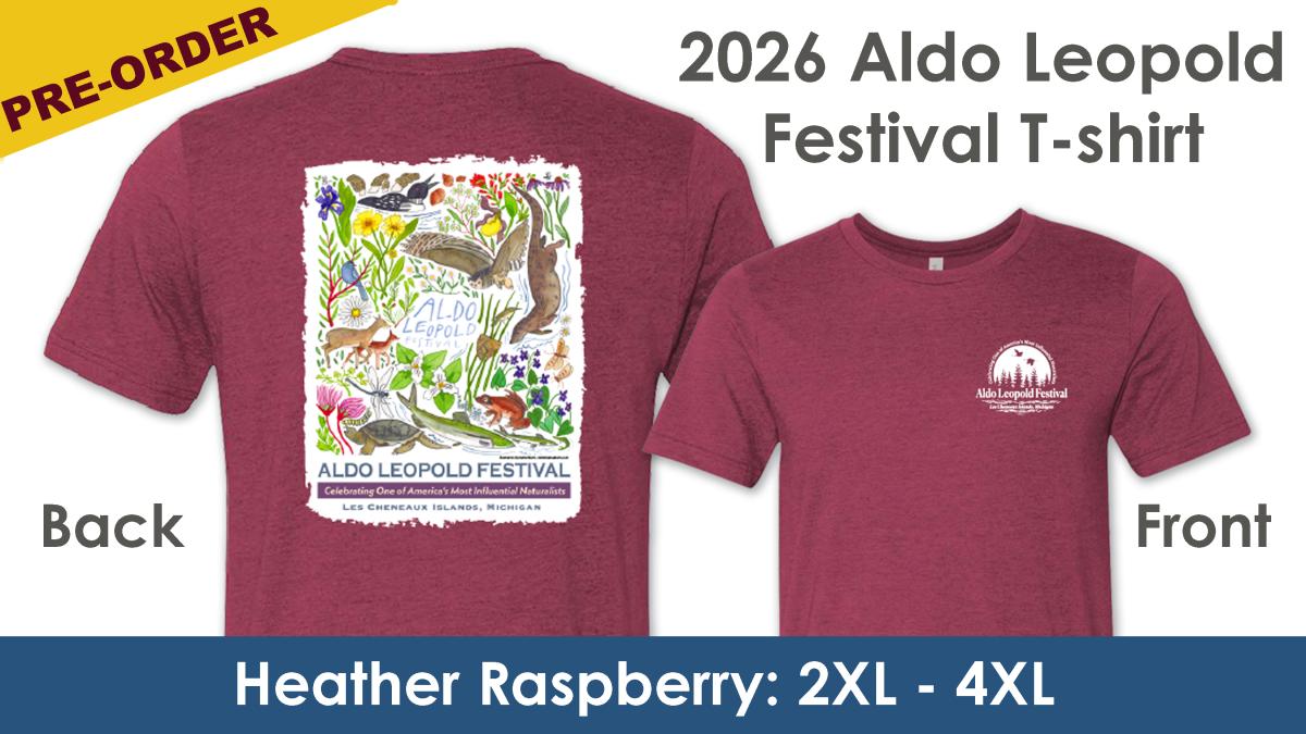Festival T-shirt - HEATHER RASPBERRY (2XL-4XL) cover picture