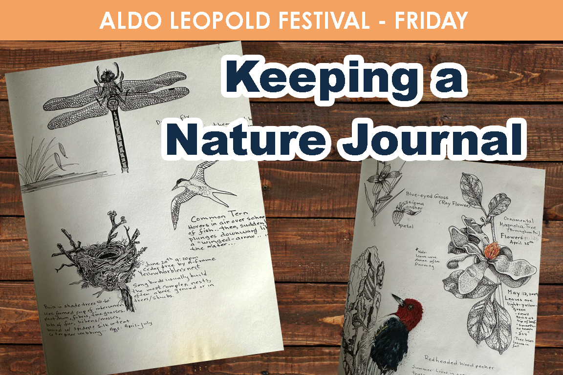 FRIDAY- Keeping a Nature Journal cover picture