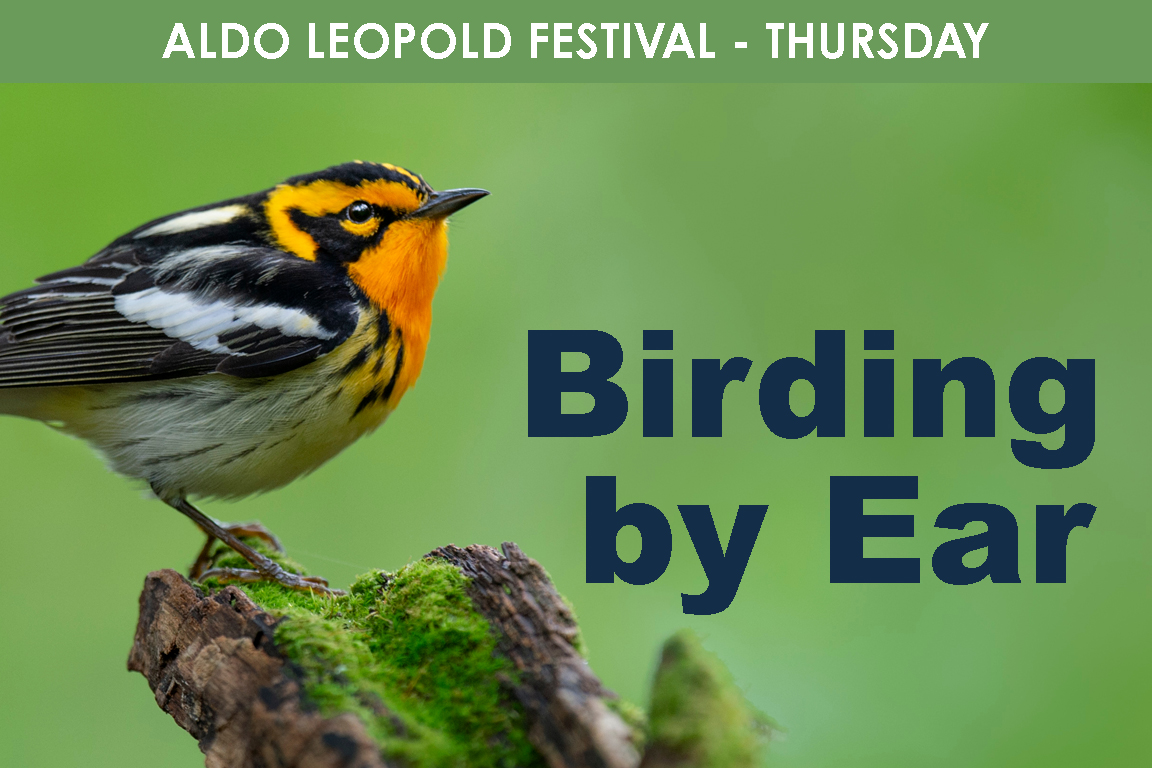 THURSDAY - Birding By Ear cover picture