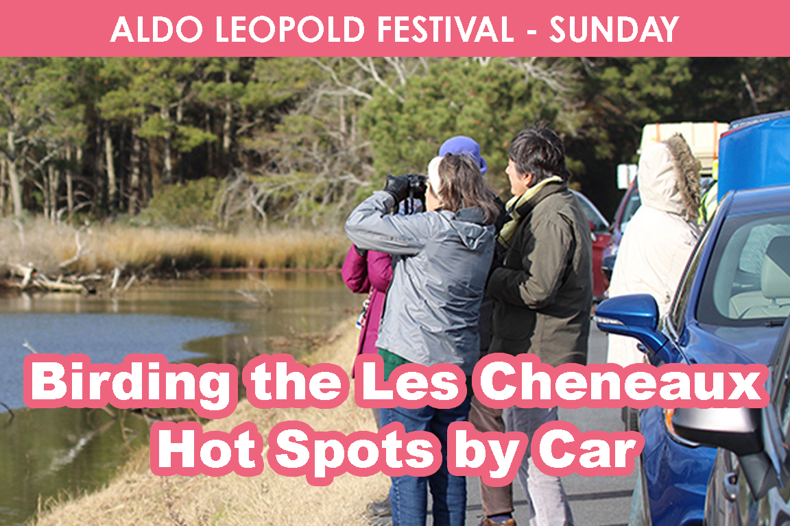 SUNDAY - Birding the Les Cheneaux Hot Spots by Car cover picture