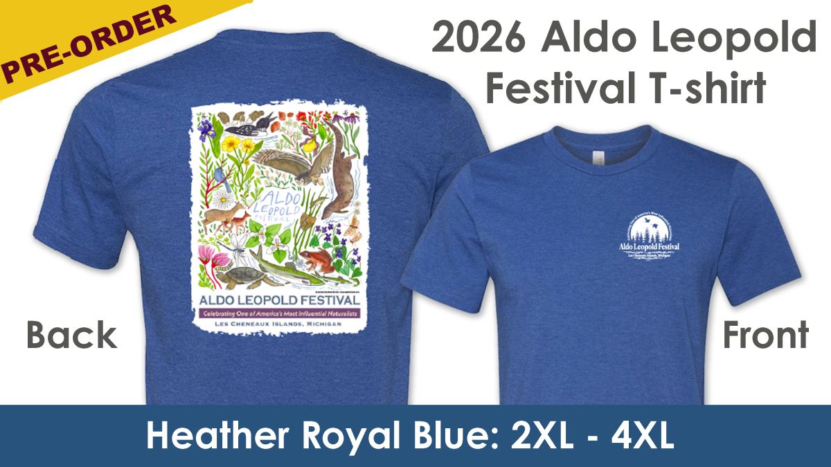 Festival T-shirt - HEATHER BLUE (2XL-4XL) cover picture
