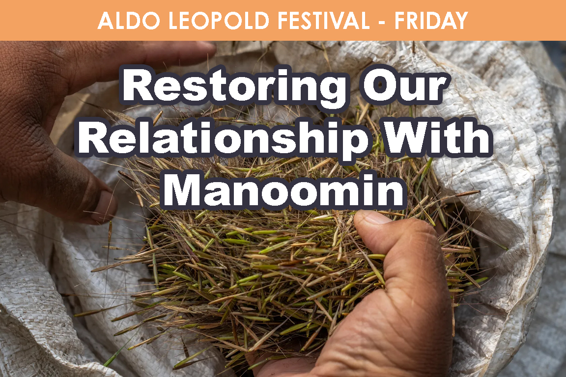 FRIDAY- Restoring Our Relationship with Manoomin cover picture