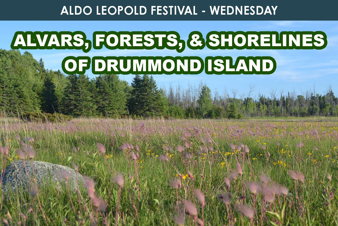 Alvars, Forests, and Shorelines of Drummond Island cover picture