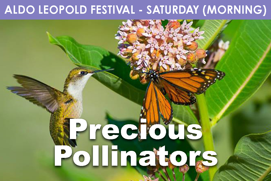 SATURDAY - Precious Pollinators (AM) cover picture