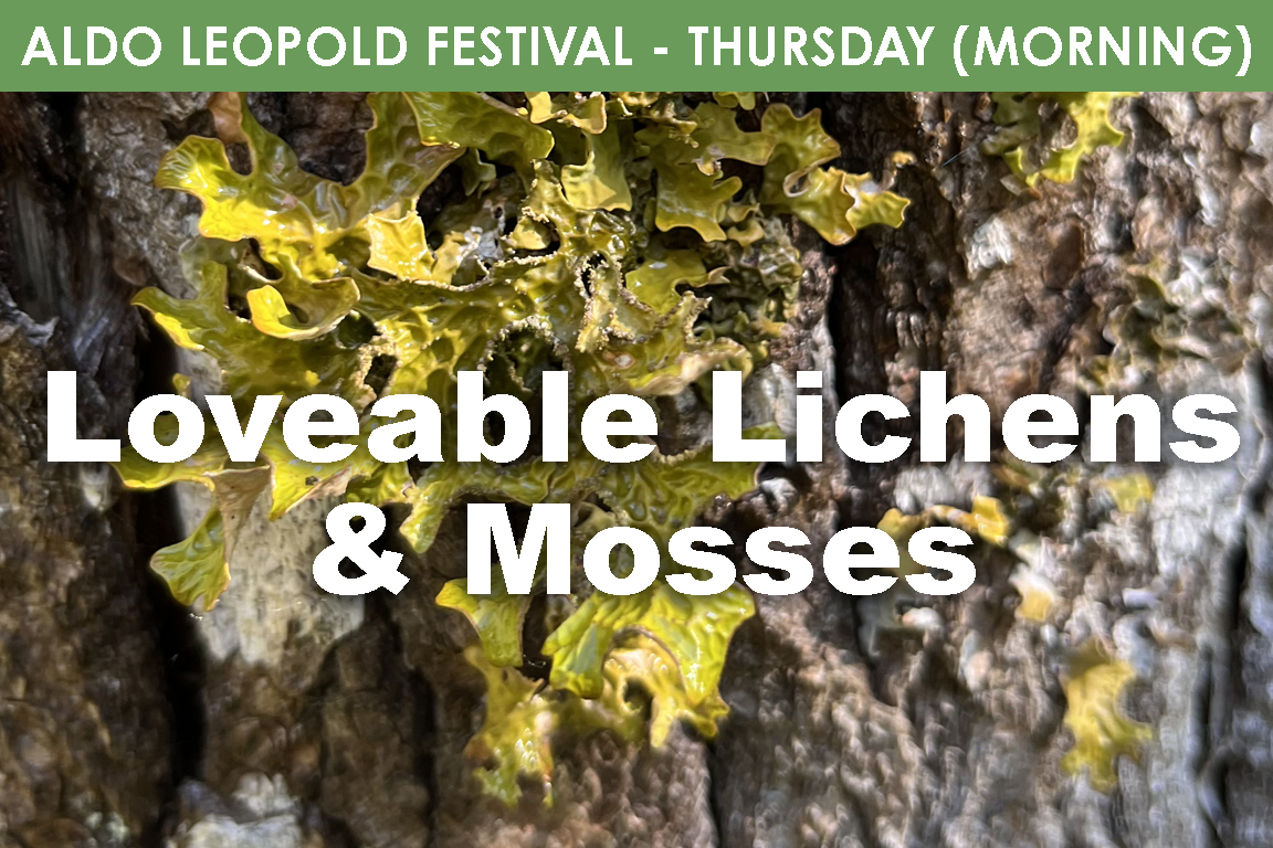 THURSDAY (AM) - Lovable Lichen & Mosses cover picture