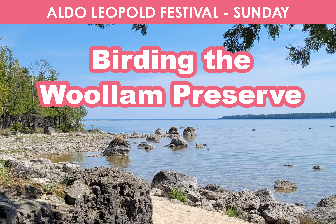 SUNDAY - Birding the Woollam Preserve cover picture