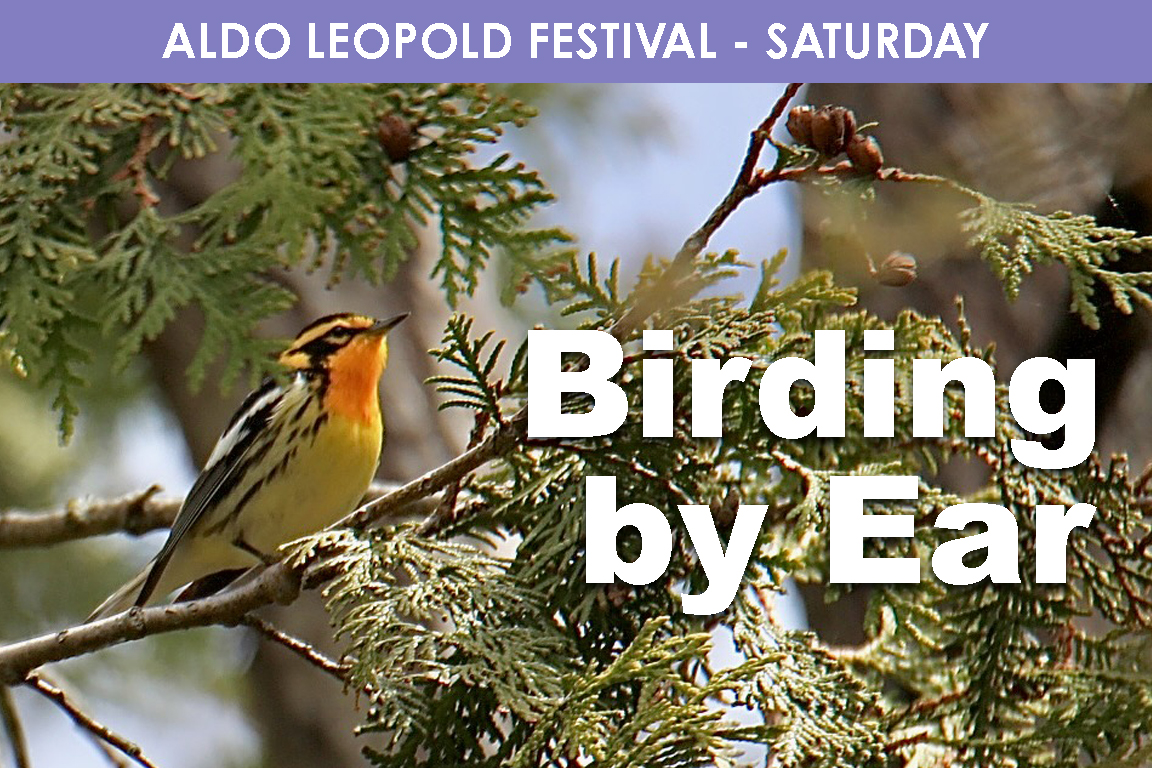 SATURDAY - Birding By Ear cover picture