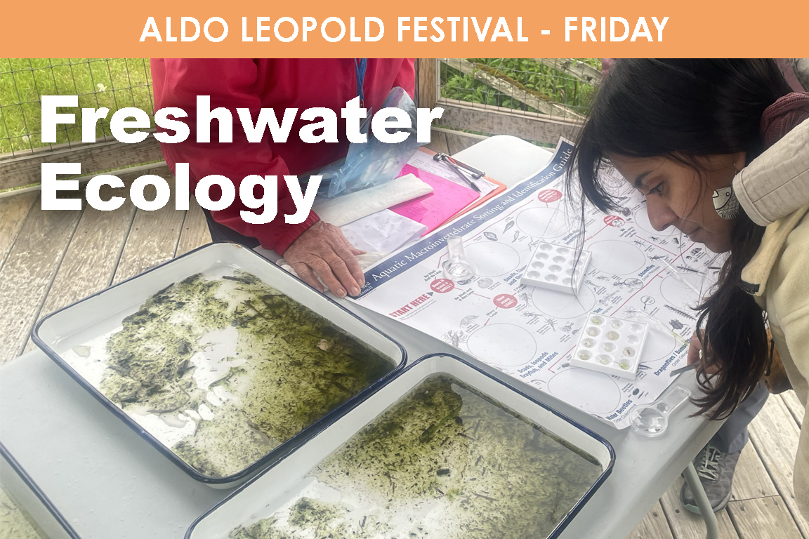 FRIDAY - Freshwater Ecology cover picture