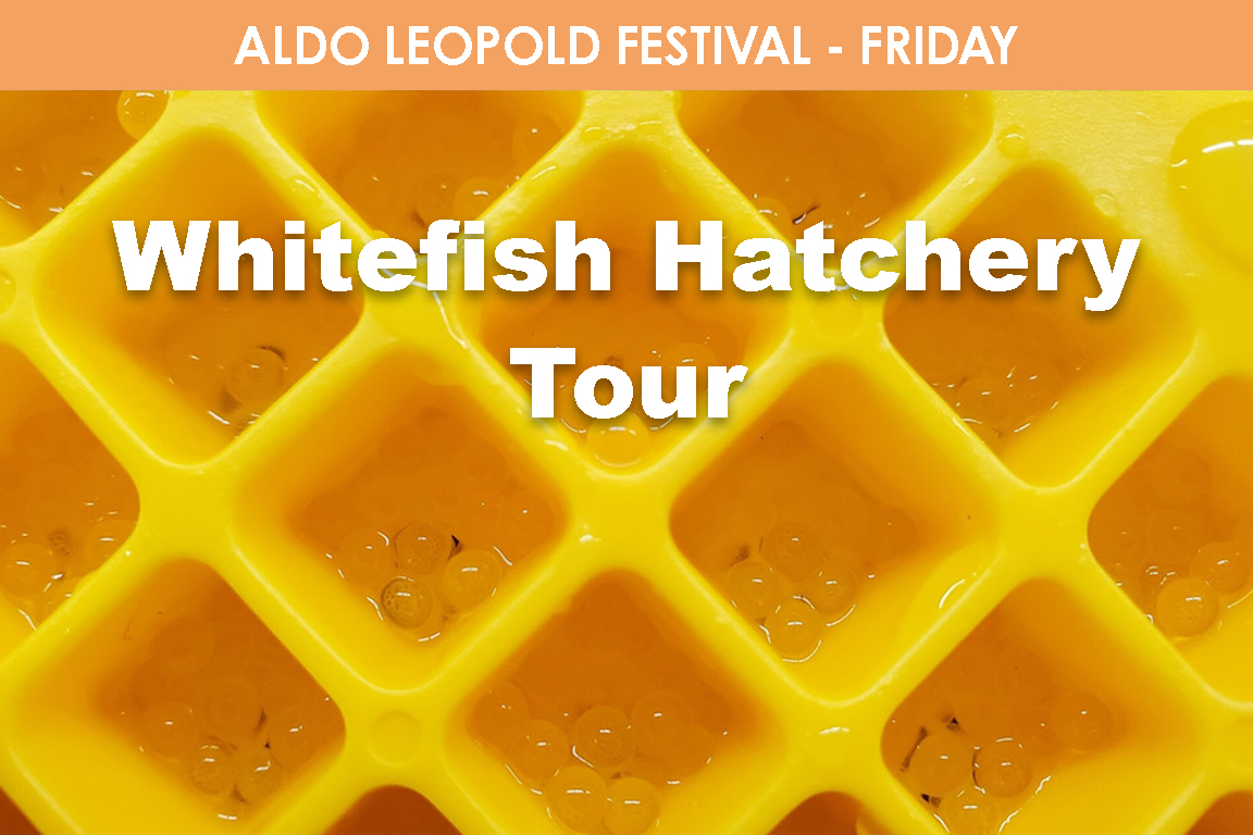FRIDAY - Whitefish Hatchery Tour cover picture