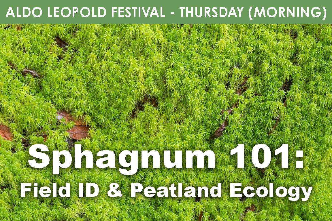 THURSDAY (AM) -Sphagnum 101 cover picture