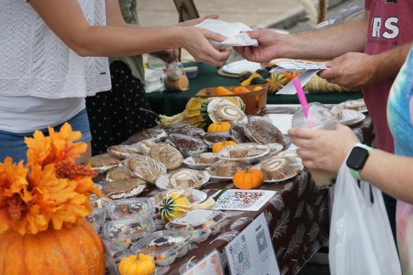 All Other Stands - Artist/Crafter, Pre-Packaged Edible Goods, Hamburg Business, Direct Sales, etc