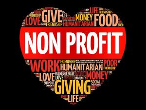 Non-Profit Organizations