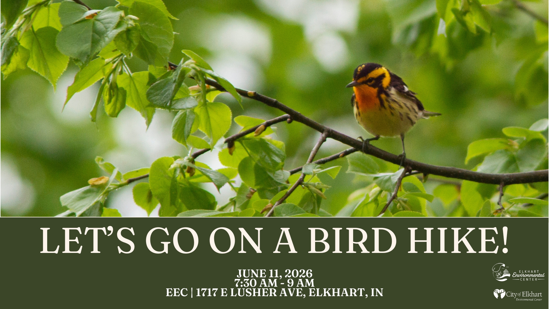 Birding Hike ~ June 2026