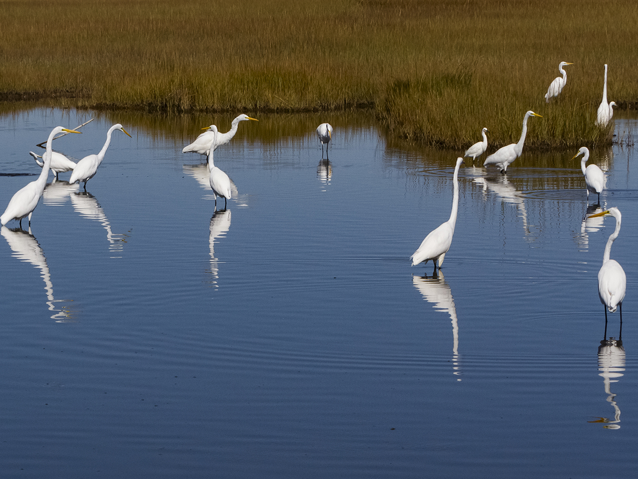 Friends Annual Meeting and Keynote Presentation | Sat | 5:30 &ndash; 8:30 pm cover picture