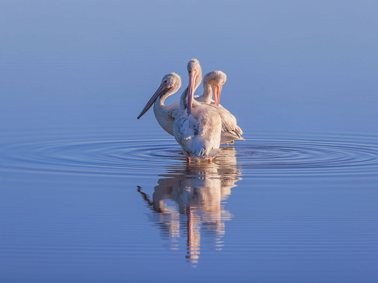 The Nature of Poetry | Fri | 9:00 &ndash; 11:00 am cover picture