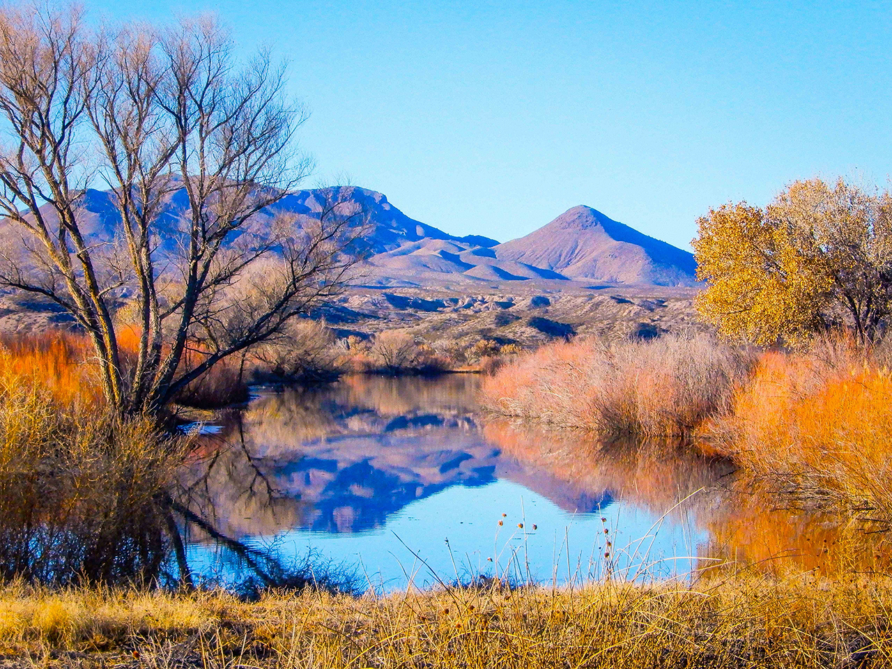 Where History Meets Habitat: An Exploration of the Cultural Landscapes of Bosque del Apache | Thurs | 11:00 am &ndash; 12:30 pm cover picture