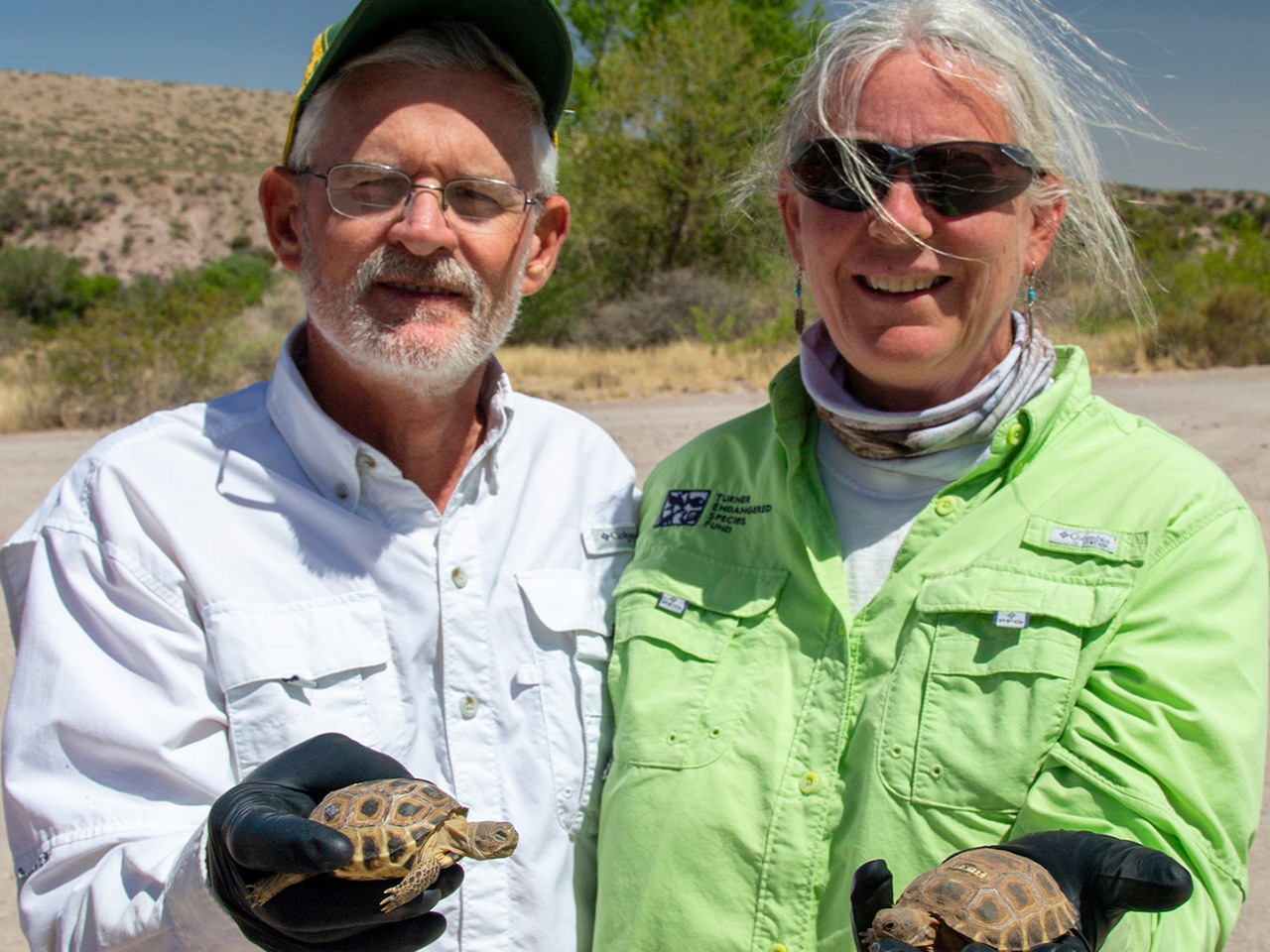 The Bolson Tortoise | Thurs | 3:00 &ndash; 4:30 pm cover picture