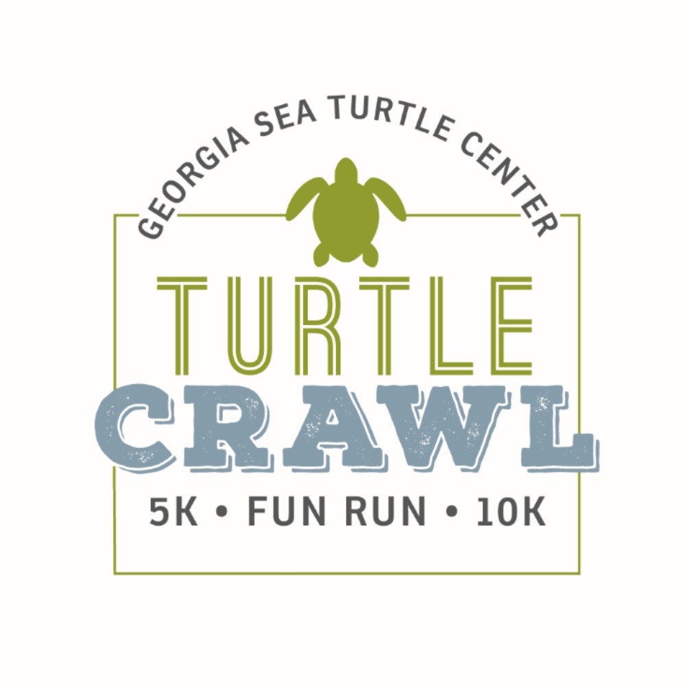 Turtle Crawl 2020 cover image